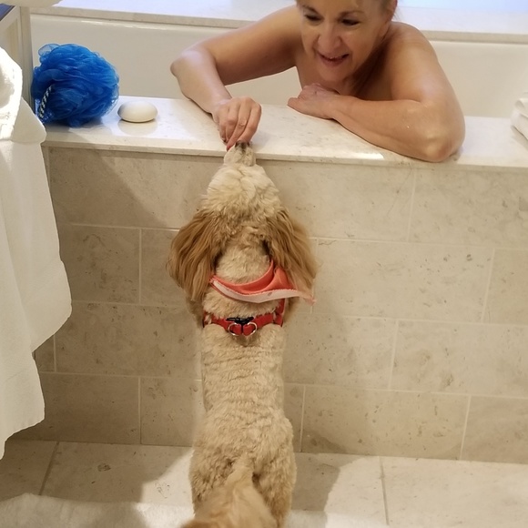 Meet your Posher, Kaye - Picture 4 of 6